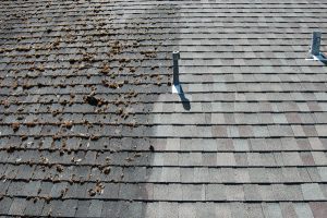 half power washed roof
