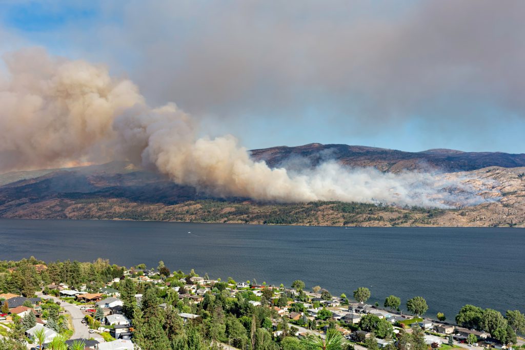 gutter cleaning wildfires