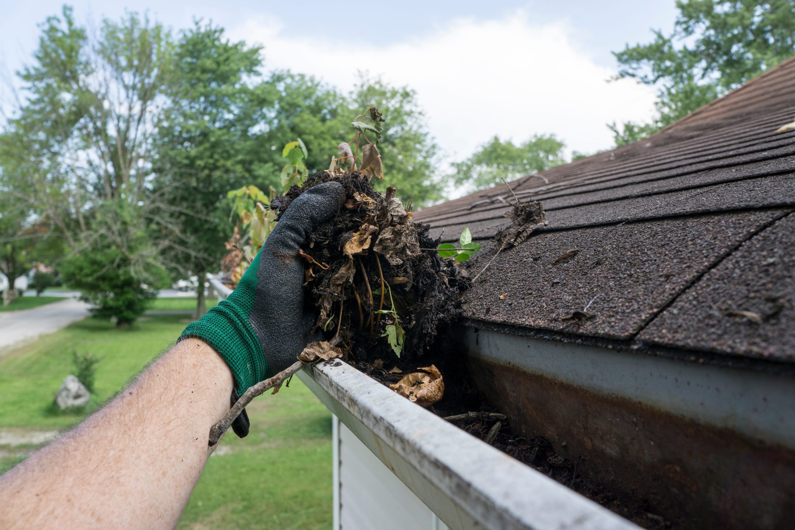 Gutter Cleaners Vernon