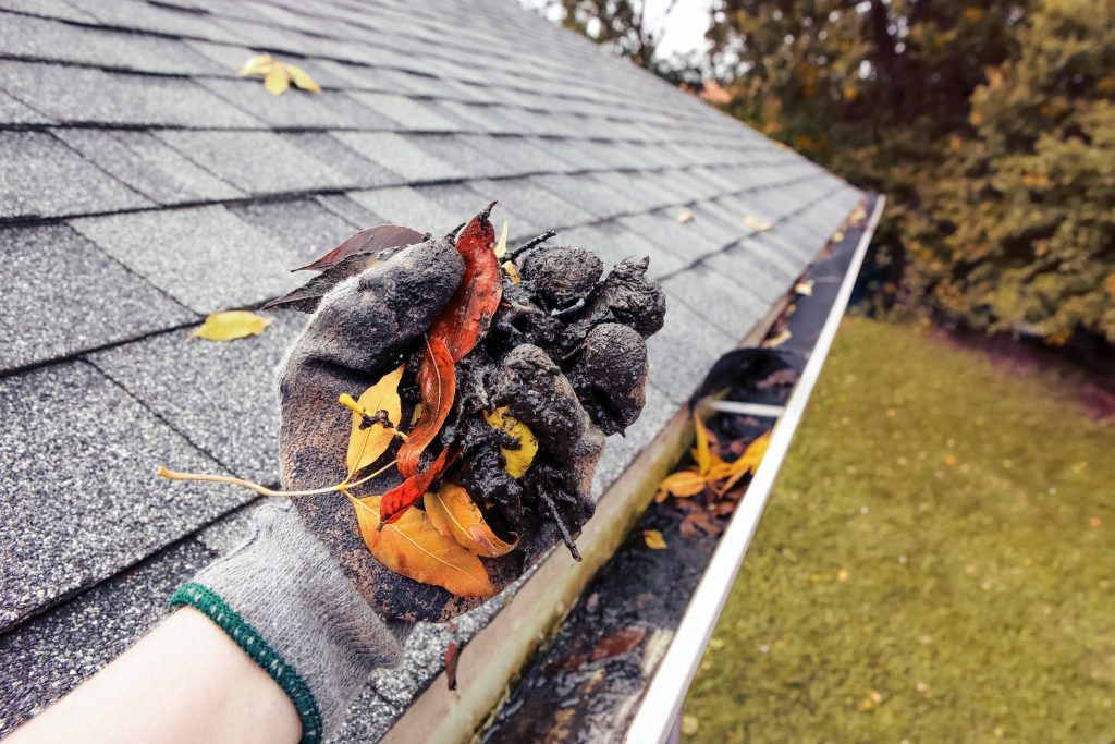 No-Limit-Gutter-Gutter-Cleaning-Service-1024x683.jpeg (1024×683)