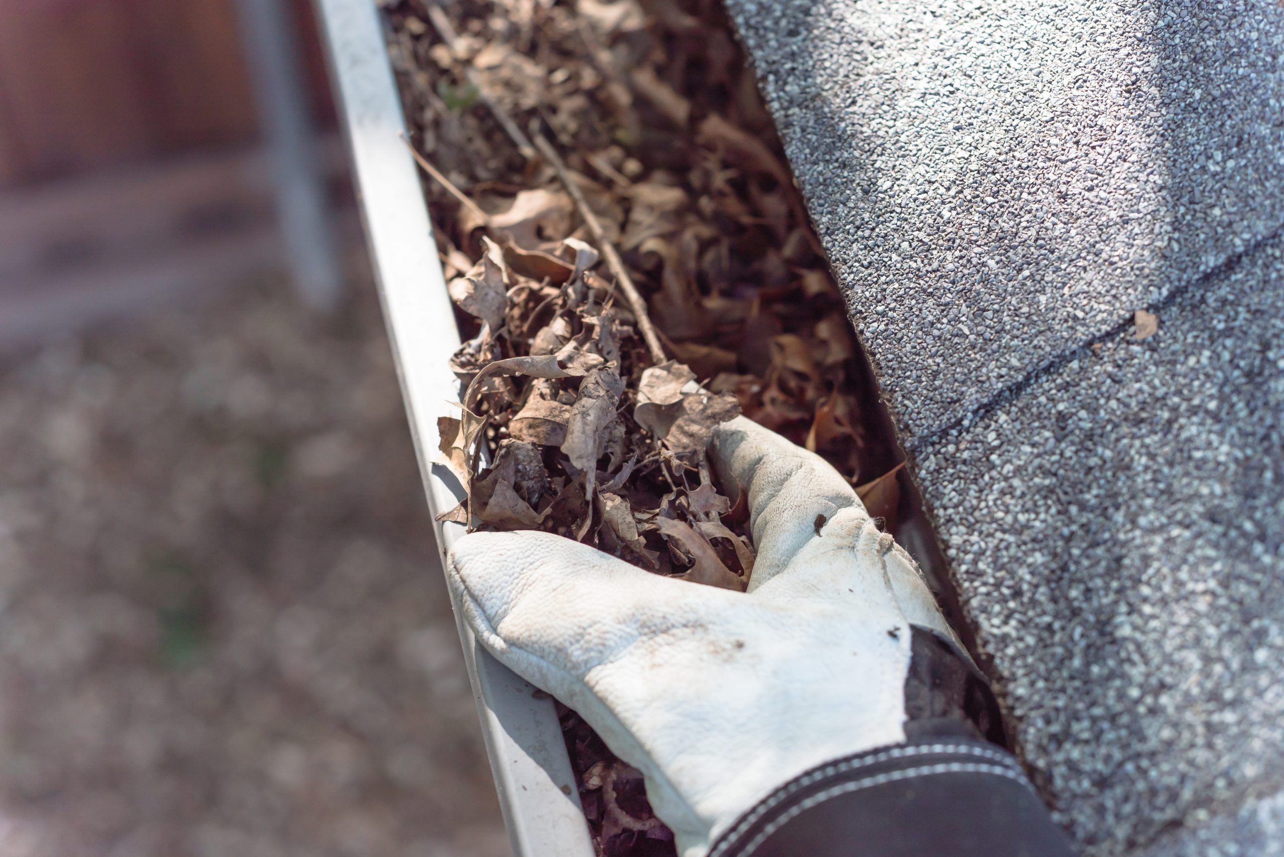 Clogged gutter being cleaned